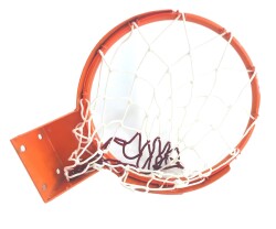 Adelinspor Standart Halkalı 45 cm Sabit Basketbol Çemberi - 4