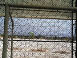 Adelinspor Futbol Kale Filesi 4 mm Kord İpi 5,50*2,20*0,8 m - 13