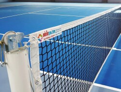 Adelinspor Premium Tenis Filesi 1 m* 10,5 m - 3