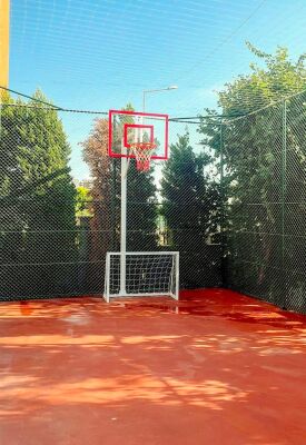 Standart Basketbol Potası Yaylı Çember 90*120 10 mm Cam Panya - 2