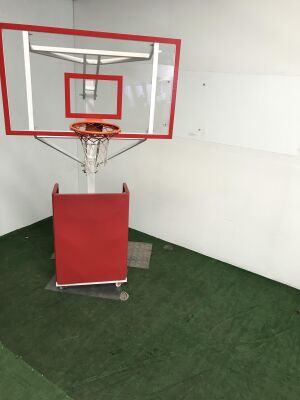 Adelinspor Premium Seyyar Basketbol Potası Yükseklik Ayarlı 12 mm Cam - 1